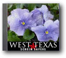 Pansy Project Texas Screen Saver